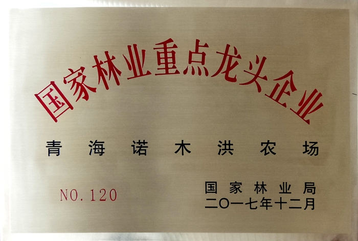 國(guó)家林業(yè)重點(diǎn)龍頭企業(yè)